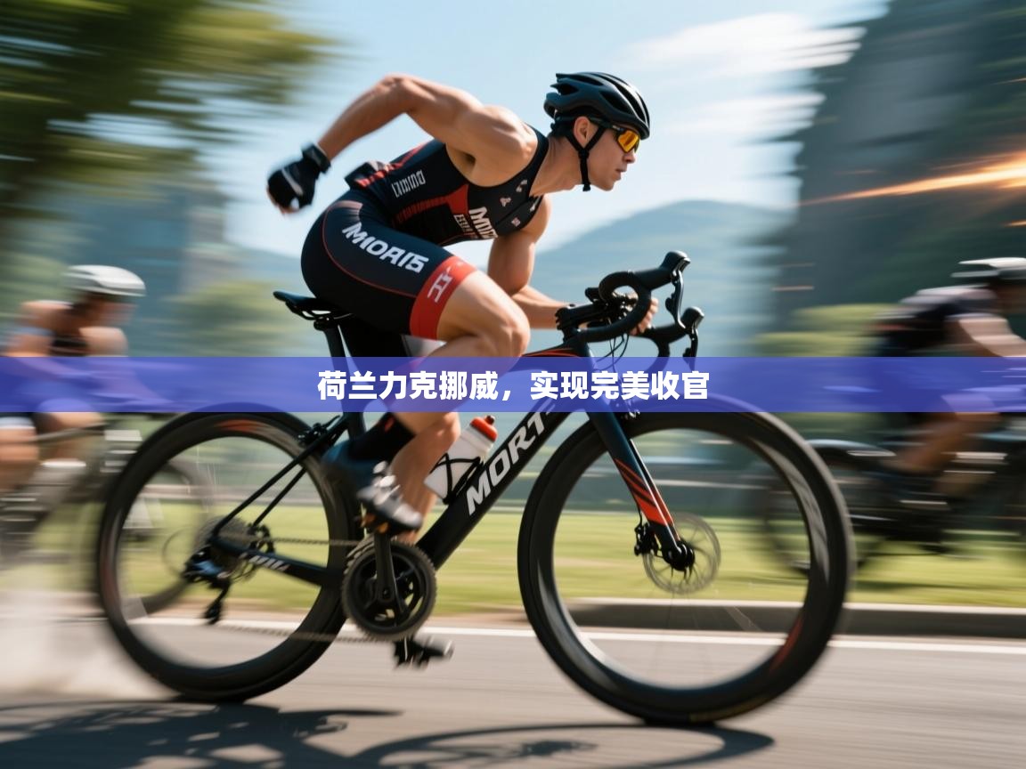 荷兰力克挪威，实现完美收官  第1张