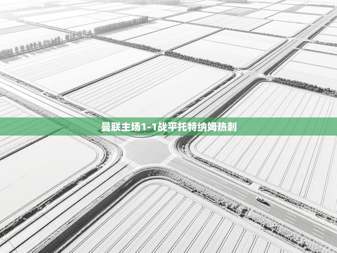 曼联主场1-1战平托特纳姆热刺  第1张