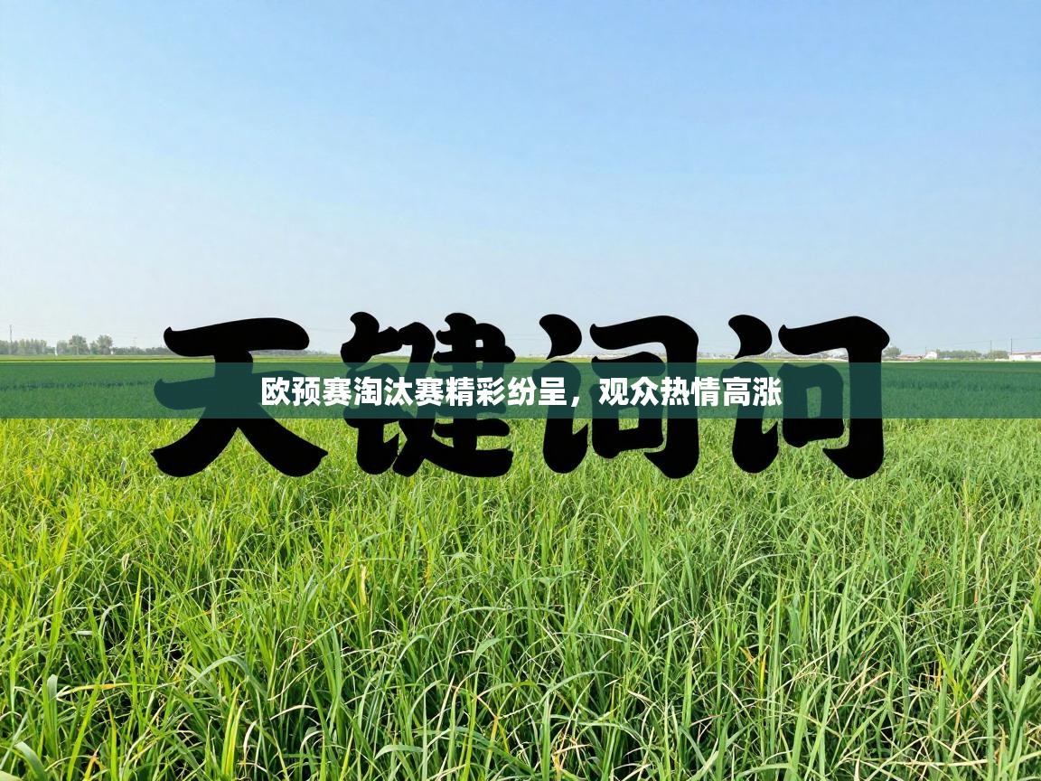 欧预赛淘汰赛精彩纷呈，观众热情高涨  第1张