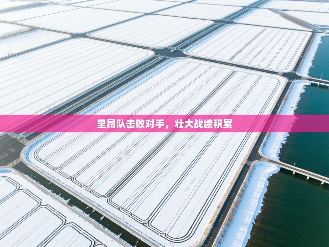 里昂队击败对手，壮大战绩积累  第1张