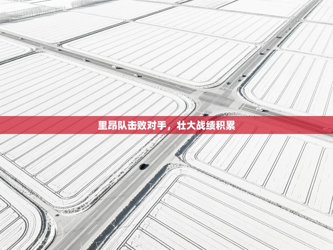 里昂队击败对手，壮大战绩积累  第2张