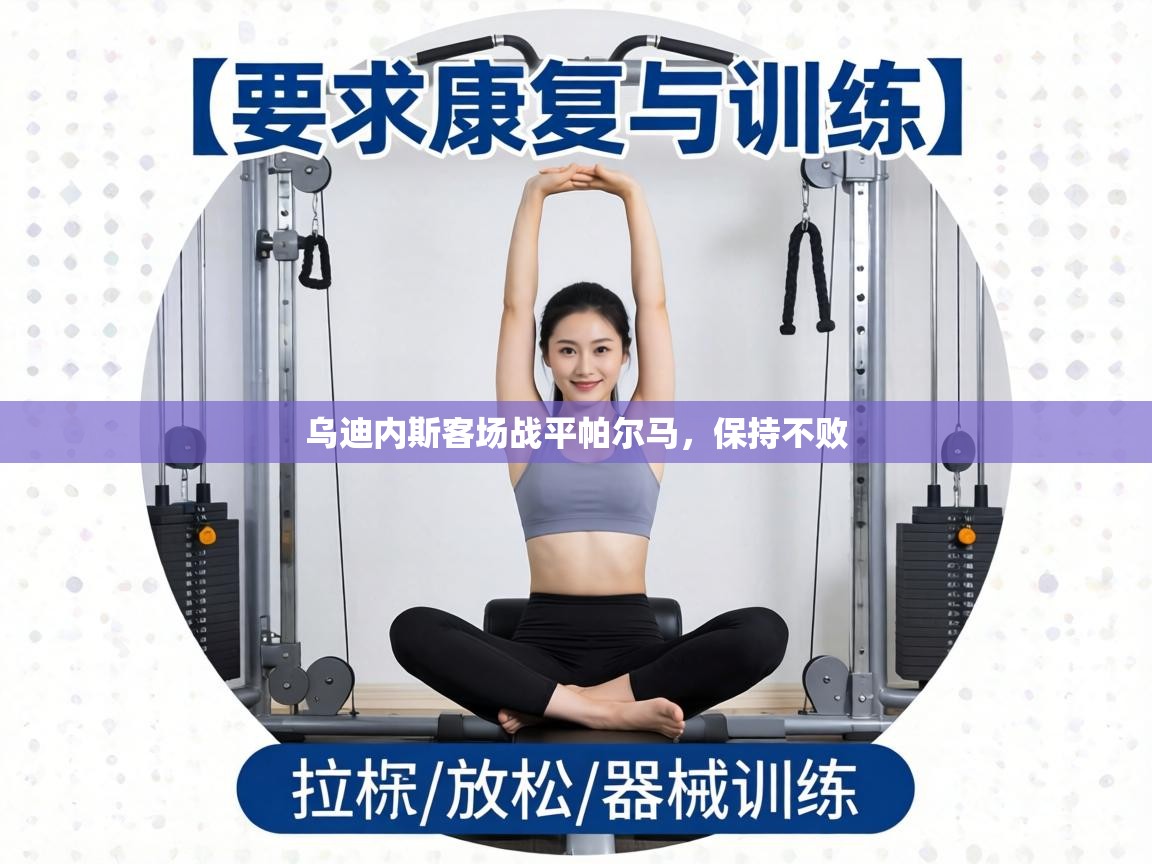 乌迪内斯客场战平帕尔马,保持不败 第1张