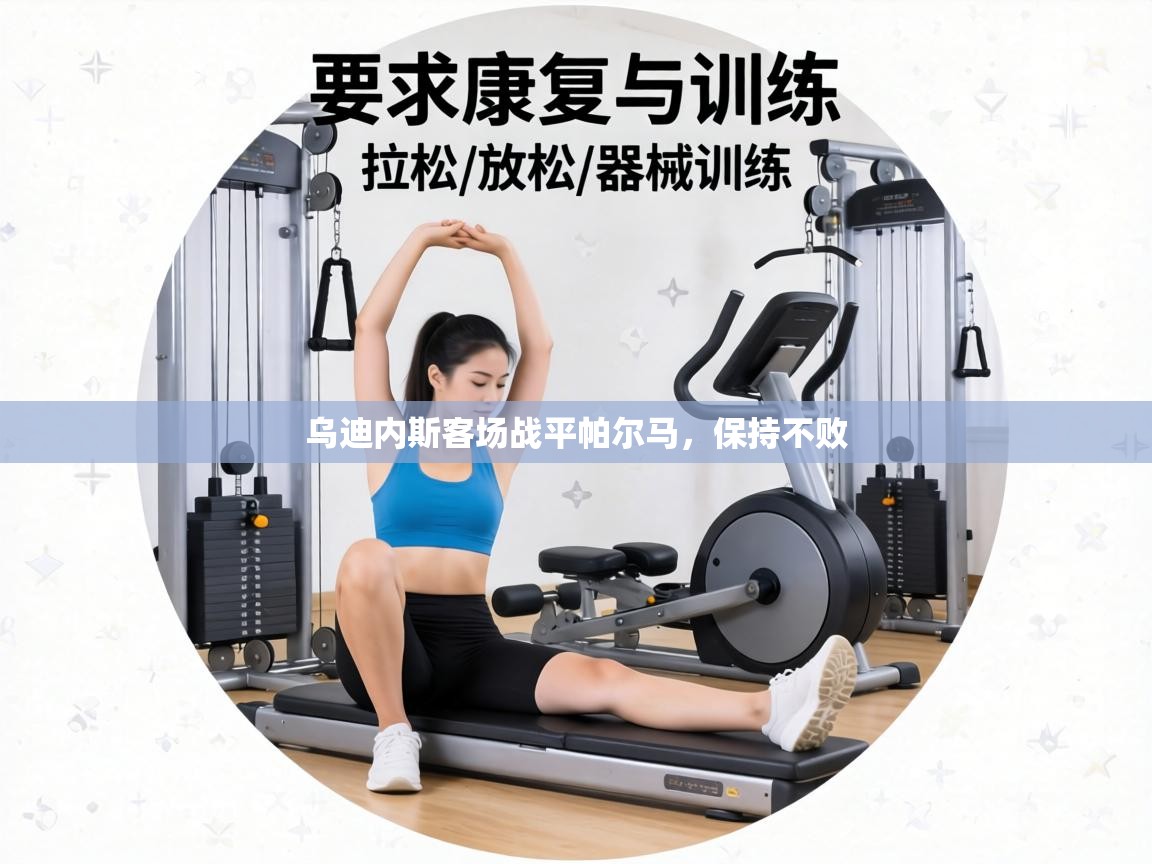 乌迪内斯客场战平帕尔马,保持不败 第2张