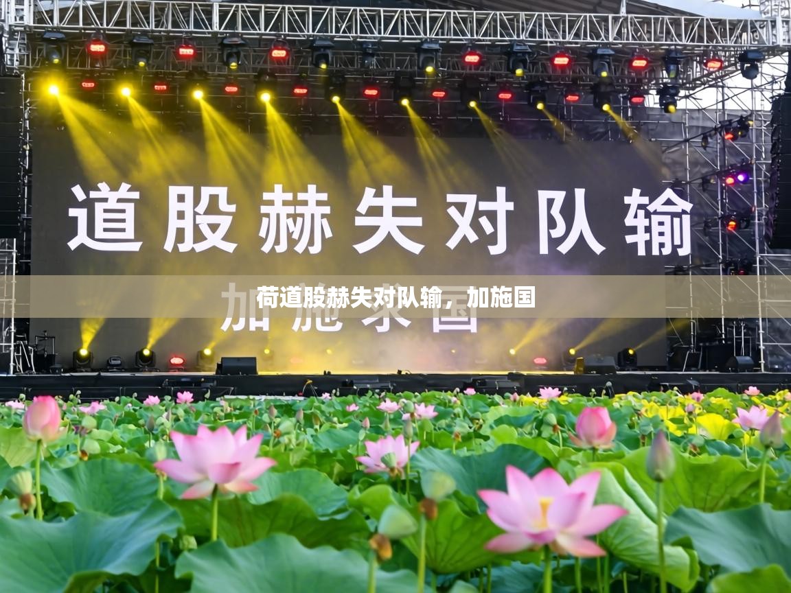 荷道股赫失对队输,加施国 第1张